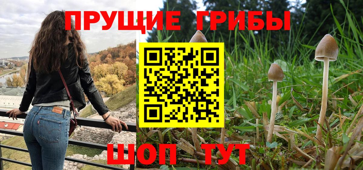 Галлюциногенные грибы мухоморы  Вход с VPN  Псилоцибиновые грибы мицелий  Пенза 